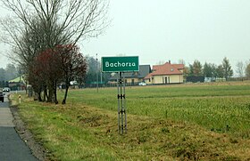 Bachorza (Sokołów)