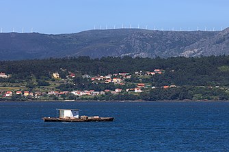 Batea en Rianzo. Galiza-1.jpg