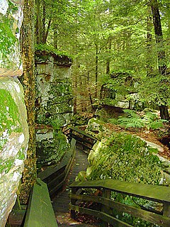 Beartown State Park State Park in Greenbrier and Pocahontas counties, West Virginia