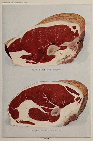 Beef illustration from The Encyclopedia of Food by Artemas Ward