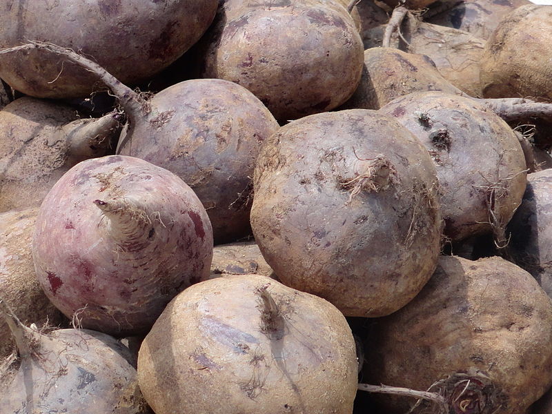 File:Beet root.JPG