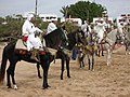 Berberų kariai iš Agadiro (Marokas)