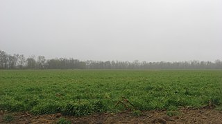 <span class="mw-page-title-main">Bieker-Wilson Village Site</span> Archaeological site in Illinois, United States