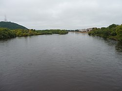 Река Бира в Биробиджане, вид с моста вверх по течению