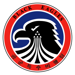 Black Eagles aerobatic team Hack Cheats