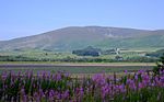 Black Combe