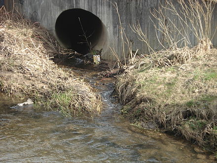 The Blankenbach at its mouth flowing into the Kahl Blankenbachmundung.JPG