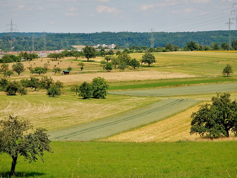 File:Blick Richtung Magstadt - panoramio.jpg