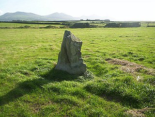 <span class="mw-page-title-main">Bodfan</span> Welsh saint