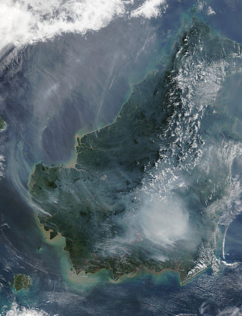 Satellite image of burning tropical peat swamp, Borneo. In 1997 alone, 73000 ha of swamp was burned in Borneo, releasing the same amount of carbon as 13-40% of the mean annual global carbon emissions of fossil fuels. The majority of this carbon was released from peat rather than overlying tropical rainforest.