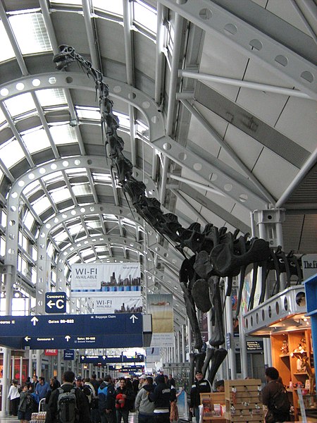 File:Brachiosaurus altithorax airport3.jpg