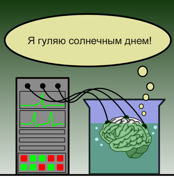 File:Brain in a vat (ru).png