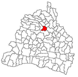 Lage in Dolj County