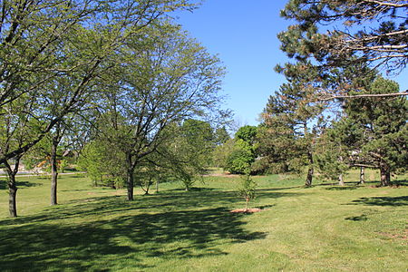 Buhr Park Wooded Area