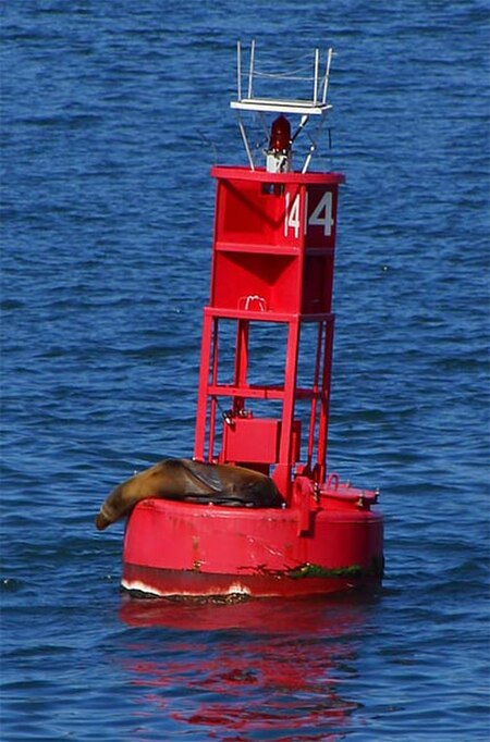 Red buoy in San Diego Harbor, with a light, number, and radar corner reflectors.