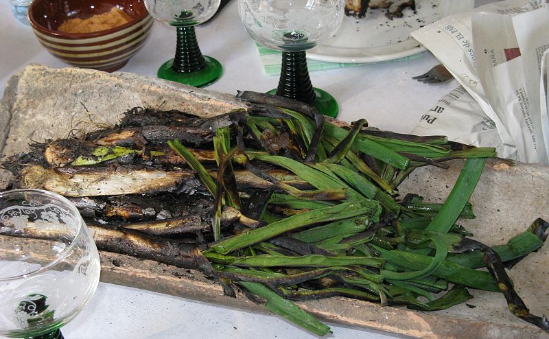 File:Calçots 02.jpg