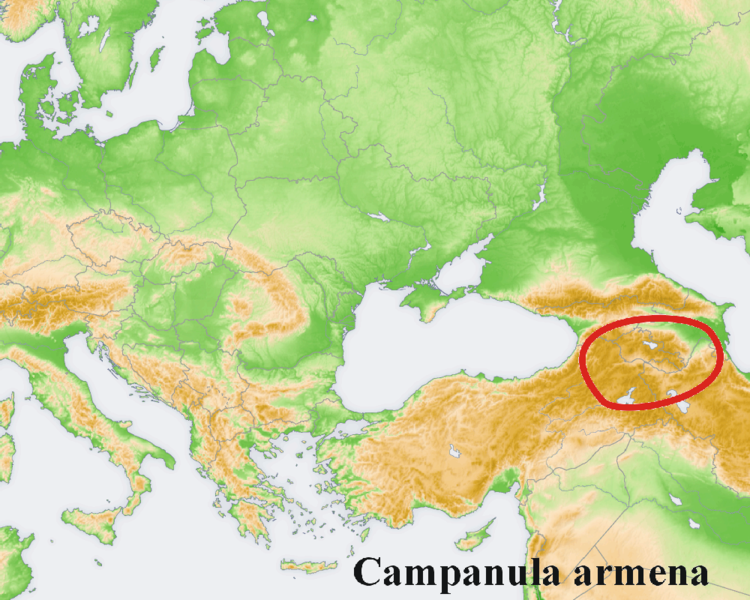 File:Campanula distribution map Campanula armena.png