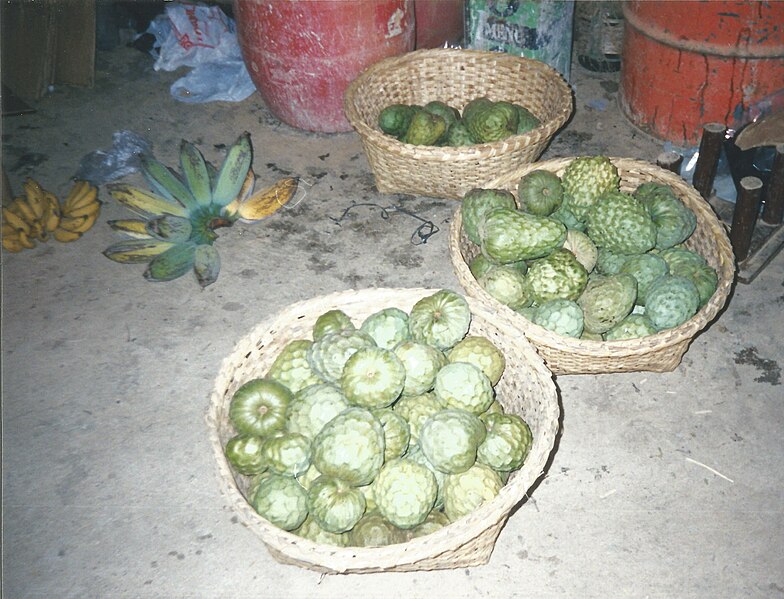 File:Cherimoya fruit basket.jpg