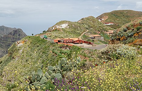 Chinamada Tenerife