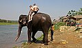 Chitwan-Elefantenbad-04-2013-gje.jpg