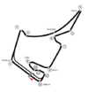 Circuit Hokenheimring.png