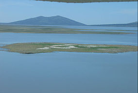 Jasné jezero hnízdící ostrov.jpg