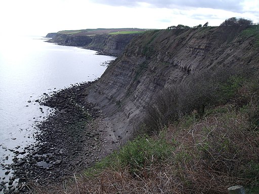 Cliffs near Widdy Head - geograph.org.uk - 2351815