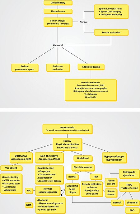 Tập_tin:Cln-66-04-691-g004.jpg