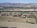 Colline marchigiane - Castelleone di Suasa 1