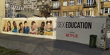 Commercial mural Netflix, Łódź 217 Piotrkowska Street 2020.jpg
