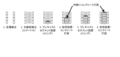 2020年6月26日 (金) 16:16時点における版のサムネイル