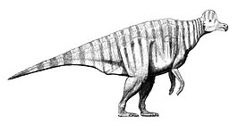 Corythosaurus