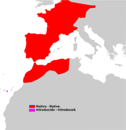 Distribución de Crocidura russula.