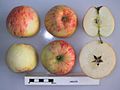 Cross section of Helios, National Fruit Collection (acc. 1994-041).jpg