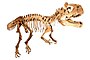 Cryolophosaurus in Japan White Background.jpg
