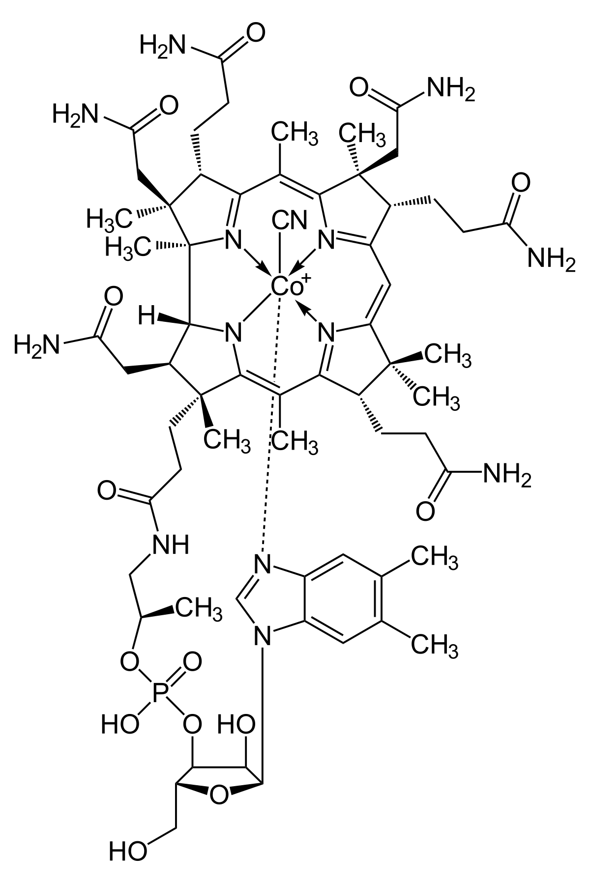 Anemia Diagnosis Chart