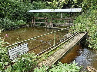 Bollenbach (Argen) river in Germany