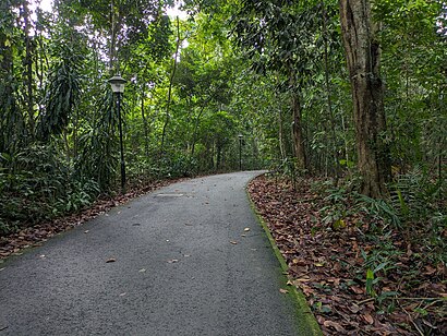 How to get to Dairy Farm Nature Park with public transport- About the place