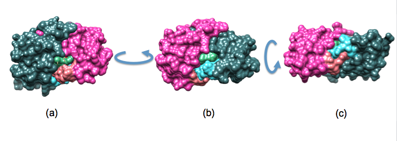 File:Darunavir space filling model.tiff