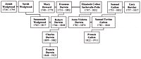 Arbre généalogique des plus célèbres descendants d'Érasme dont Charles Darwin.