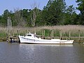 Deadrise workboat Capt. Colby at Tyler's Beach near Smithfield, VA.