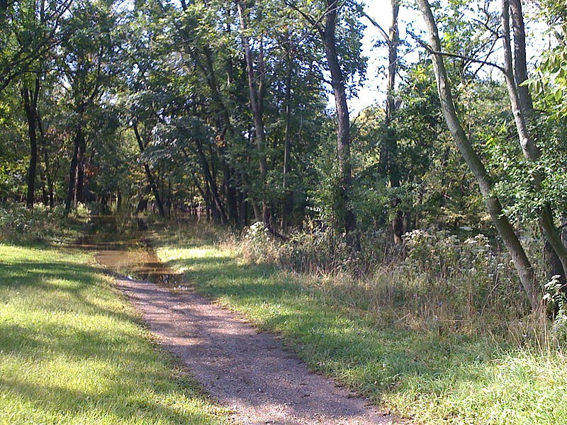 File:Des Plaines River - panoramio (3).jpg