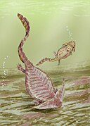 Diplocaulus, bir diplocaulid "nectridean grubundan" Lepospondyli