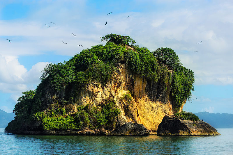 File:Dominican Republic Los Haitises birds island.jpeg