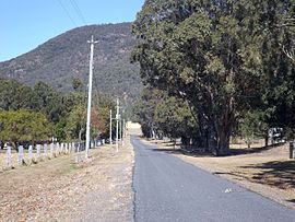 Doyles Yolu Dağı Okçu Queensland.jpg