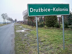 Cesta do Drużbice-Kolonia