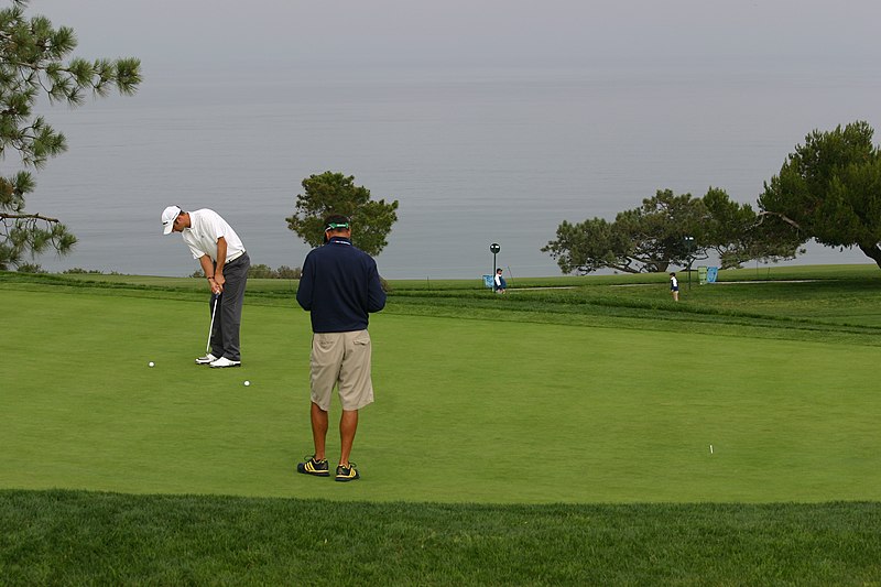 File:Dustin Johnson 2008 US Open.jpg