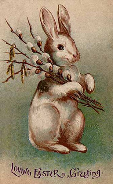 An Easter postcard from 1907 depicting a rabbit