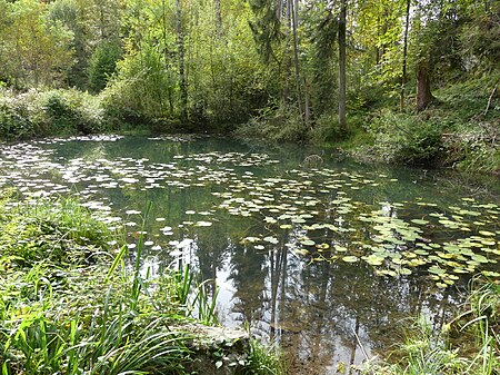 Egelsee von Norden