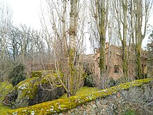 Vista del jardín en época invernal